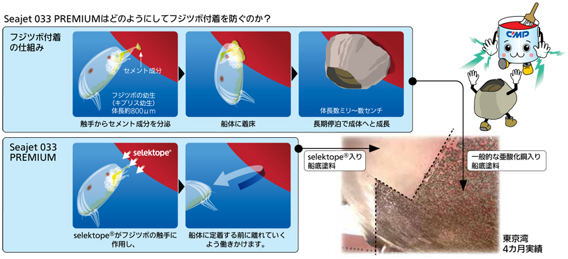 中国塗料 自己研磨型防汚船底塗料 亜酸化銅タイプ シージェット033 